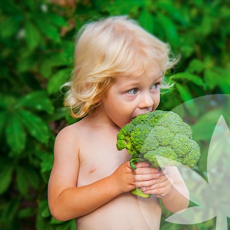 Dieta Delle Zone Blu - Mangiare Come Le Persone Piu Sane Della Terra