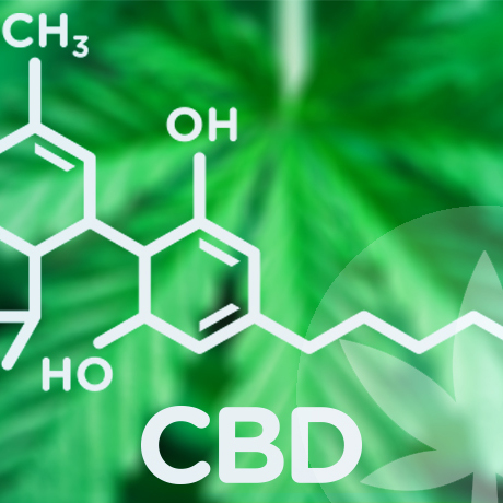 Purchasing CBD Oil: Top Things To Look Out For 