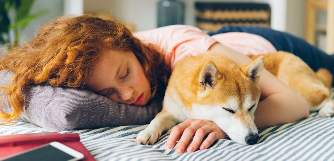 Dormir com animais de estimação: qualidade e saúde do sono